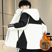 Mi Bai 【Птицы】