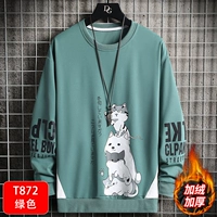 T872 зеленый [добавить бархат]