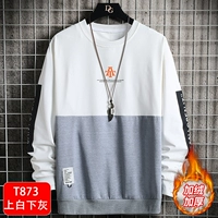 T873 Bai Bai Xiaotan [Ploves]