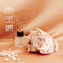 Natural super large conch shell Emperor snail specimens home furnishings wedding platform fish tank landscaping gift props