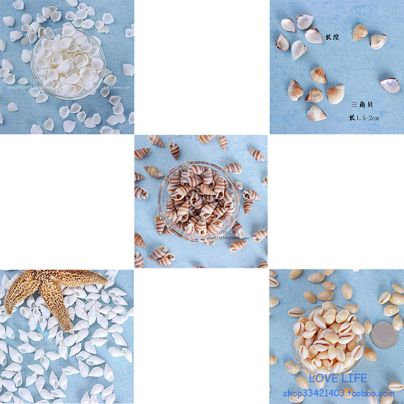 Natural White Rice Snail 1-2cmdiy Drivebottle Hsu May Bottle Micro Landscape Handmade Bay Shell Painting Material Mini Small Sea Snail