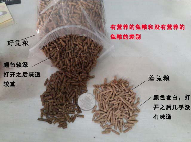 Young Rabbit Adult Rabbit Pet Rabbit Grain Staple Food feed Deodorant Anti Cocet 5 Cati 1 piece 2 pieces