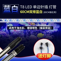 Аквариум, 60см, 80см