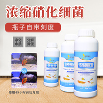 Fish tank aquarium High concentrated nitrobacteria Bacterial Net Aqua Stabilized Valium Decomposition Fecal Purification Water Quality