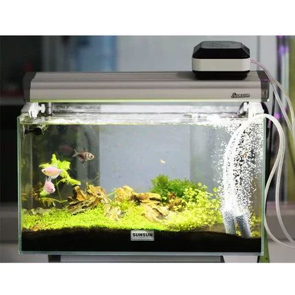 Sensen Jiao DC Aoxic Pump Fish Fish Танк кислородный насос аквариум промывочный насос тихий рыба