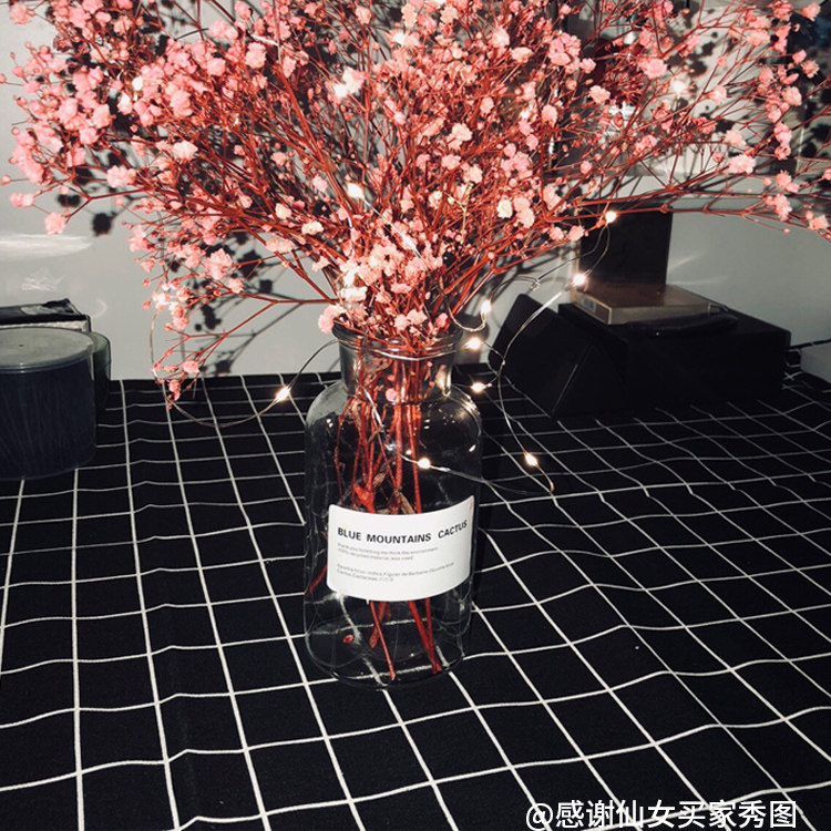 Rich Whitney Table Cloth Nordic Table Mats Checkered Rectangular Table Tea Table University Students Dorm Net Red Ins Background Cloth