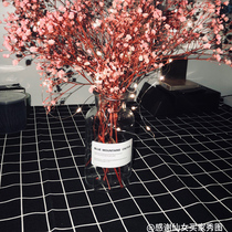 Tablecloth fabric Nordic simple dormitory anti-scalding table mat lattice rectangular dining table coffee table Net red ins background cloth