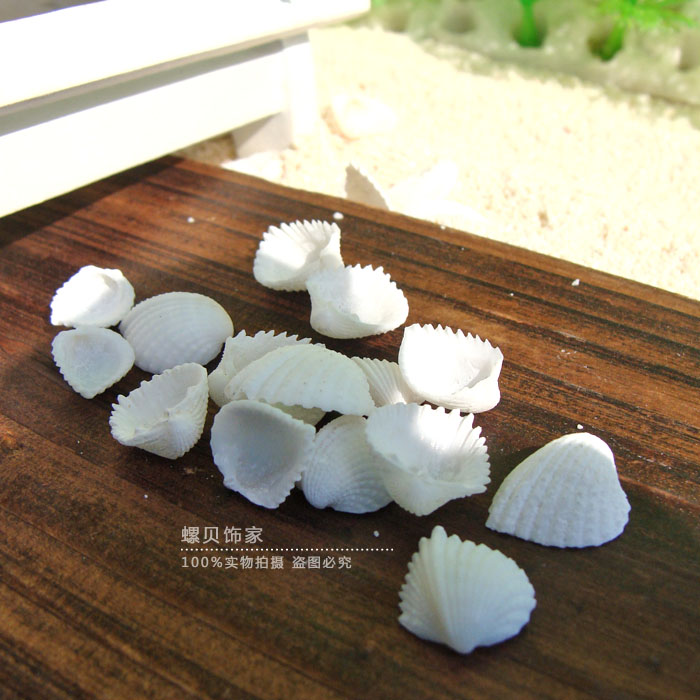 Careless bay 0 the sea snail 7-1 7-1 cm 80 cm 80 Home Terrace Wall Sticker Arrangement-Taobao