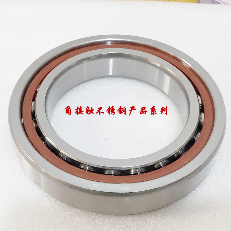 Stainless steel angular contact ball bearings S 7209 7210 7211 7212 7213 7214 7215 7216