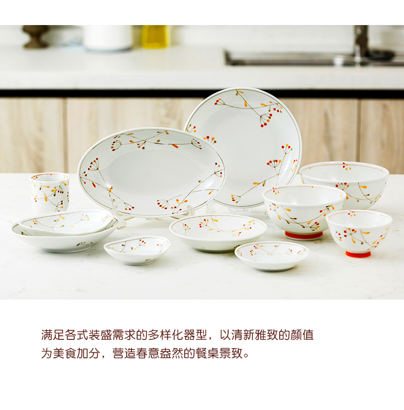 Japan imports under the glaze color ceramic plate to eat to use Japanese - style tableware household round dish dish elliptical fish dish dish