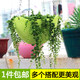 ກະຕ່າດອກໄມ້ Chlorophytum hanging pot hanging hook indoor self-absorbing plastic flower pot dedicated to grow radish