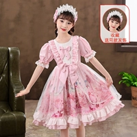 Коллекция порошка и отправка те же аксессуары для волос