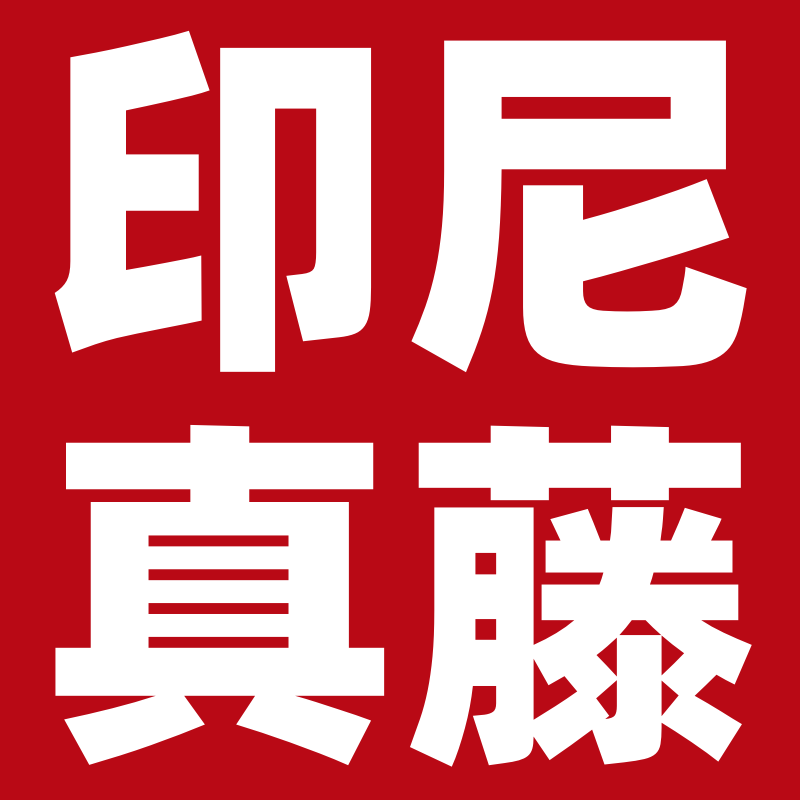 印尼进口真藤老店