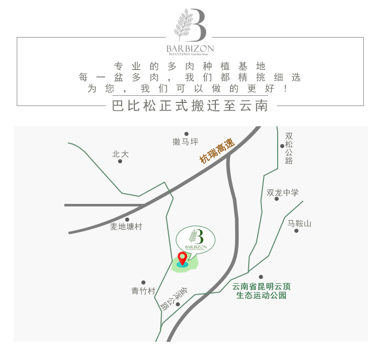 Barbizon đa thịt trồng cây bọ cạp đặc biệt cây mọng nước kết hợp trồng chậu tiện ích thịt và vật tư làm vườn - Nguồn cung cấp vườn vòi sen tưới cây
