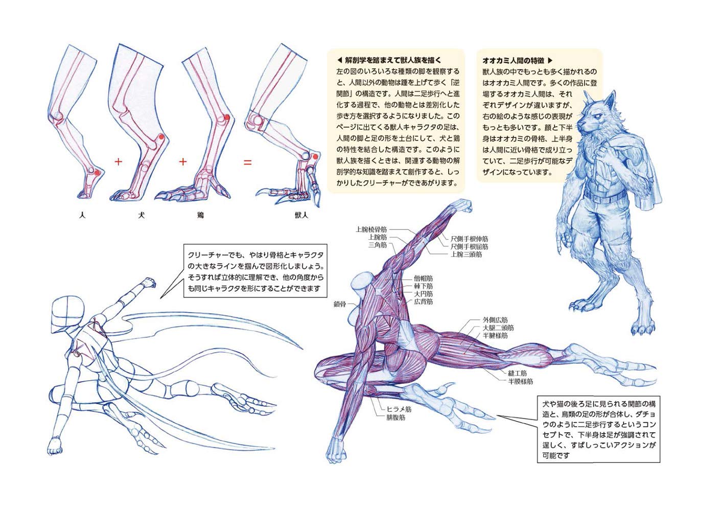 日版キム ラッキの人体ドローイング人体姿态