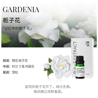 Gardenia (отправьте эфирное масло Blossom Blossom) Цветок Gardenia в режиме памяти!