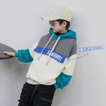 Boys plus velvet padded double-layer autumn childrens warm hooded tops for childrens foreign childrens clothing autumn and winter