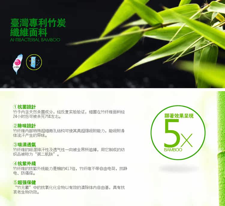 Body ZT96C en fibre - Ref 650219 Image 15