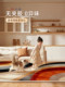 Dopamine Carpet for Living Room 2026 New Model High-End Sofa Coffee Table Rug Wipeable No-Wash Waterproof Anti-Stain Floor Mat