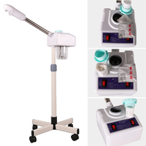 Taidong herbal single heat sprayer Beauty instrument Aromatherapy ion steam face machine Steam engine 