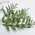 Hua Yiran, gió và bóng lá, cây xanh mô phỏng hình răng là trang trí cửa sổ nhà đơn giản theo phong cách Bắc Âu tươi mát và tự nhiên - Trang trí nội thất