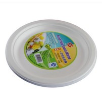 Special disposable paper plate thickened paper plate painting painting kindergarten handmade diy material