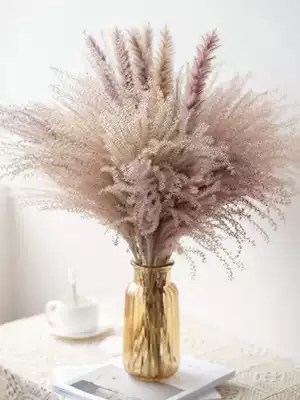Natural Reed dry bouquet of dust real flower ins Wind home decoration living room bedroom furnishings flower eternal bouquet