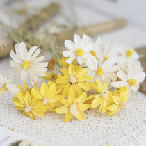 Wenxinlan dried flower hibiscus flower pastoral simple fresh style home decoration ornaments shooting props handmade art