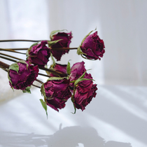 Rose dried flowers Nordic retro natural air-dried real flowers simple art home decoration living room window shooting ornaments