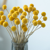 Golden ball dried flower bouquet decoration ornament real flower forever flower dry eucalyptus leaf Nordic simple home living room