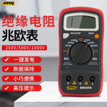 Binjiang BM500A megger high voltage electronic megger high resistance meter digital insulation resistance tester 1000V250