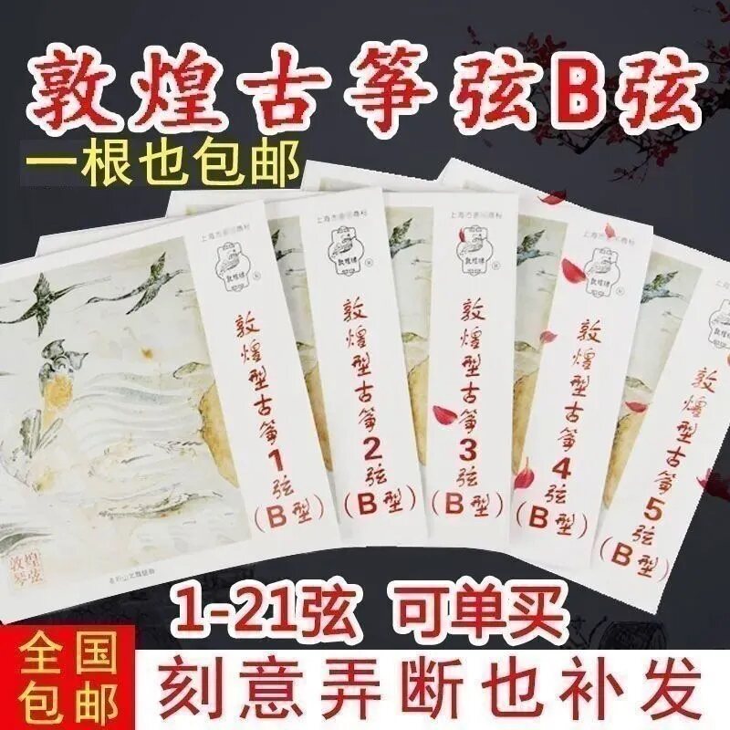 敦煌古筝弦、タイプB、プロ仕様演奏基準古筝弦、ナイロン弦、1～21番、古筝弦フルセット