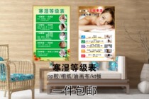 Cold and wet Grade Table Traditional Chinese Medicine Health Health Acid Platoon of Meridian Acupoints Map Poster Wall of the body Meridian Acupoints of the Meridian Acupoints