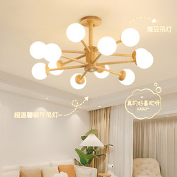 Natural Wood Style Magic Bean Living Room Chandelier Nordic Solid Wood Dining Room Lamp Japanese Wabi-Sabi Style Bedroom Lamp Guangdong Zhongshan Lighting Fixtures