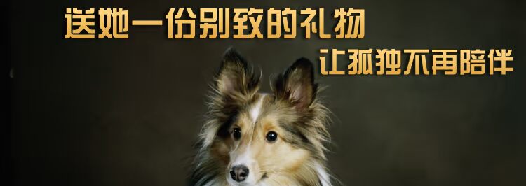 Bega pet chai bia đồ chơi thú cưng âm thanh đồ chơi âm thanh chai rượu đồ chơi phim hoạt hình âm thanh đồ chơi mèo và chó đồ chơi đồ chơi cho chó rẻ