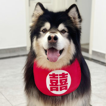 Dowry dog wedding dog pet scarf festive