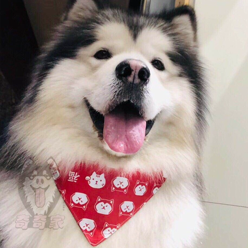 Хлопковый милый шарф, водонепроницаемый нагрудник, подходит для подростков