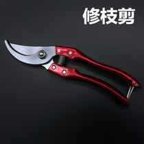 8 inch fruit branch shears SK5 pot fruit tree planting elbow rough shears horticultural cut fruit garden branch scissors pruning shears