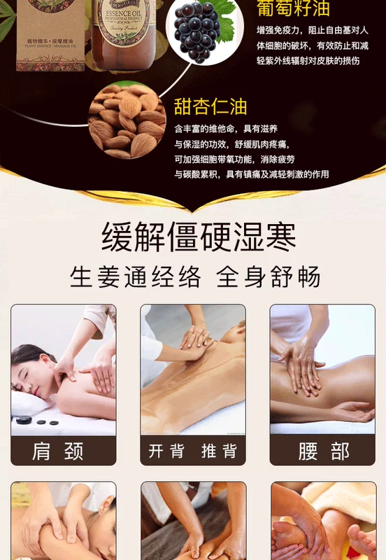 ARTISTRY LAN Massage gừng Tinh dầu truyền cảm lạnh và ẩm ướt Cơ thể nói chung Massage nạo xoa bóp Dầu gừng Meridian gốc dầu - Tinh dầu điều trị