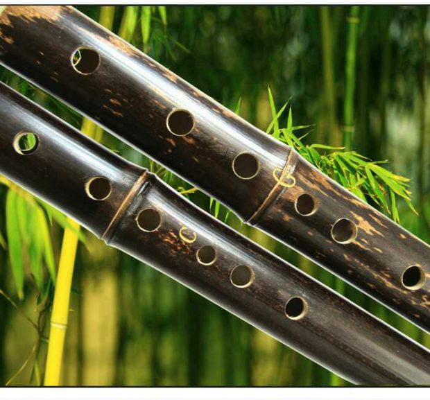 Nhạc cụ Quốc gia Vân Nam Zizhu Ống đôi chuyên nghiệp Bawu G + c Điều chỉnh F + b Điều chỉnh Vận chuyển quốc gia đàn cổ cầm giá rẻ