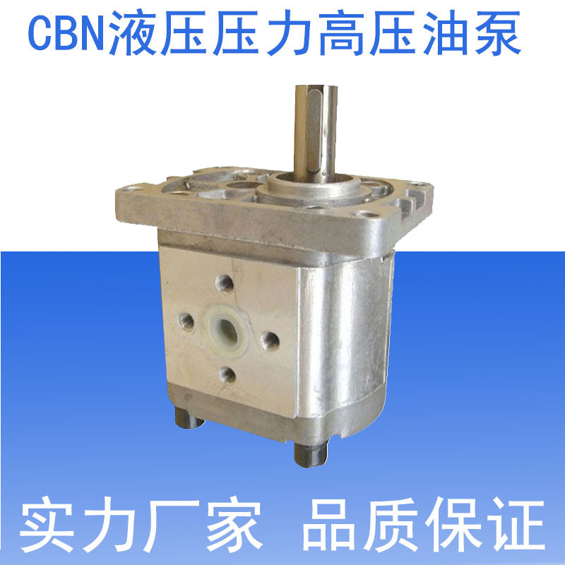 Hydraulic gear pump hydraulic station high pressure pump CBN-F304 306 310 314 316 320 CBN-F