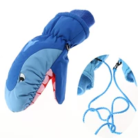 Сокровища Голубая акула