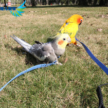 Parrot releases the rope out of the traction rope ultra-light foot chain of eight-brother artifact traction without hurting the feet walking bird rope