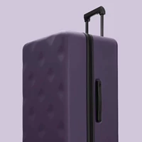 【Черная слива фиолетовая】