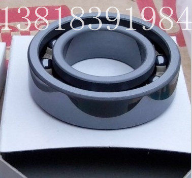 6004 Ceramic Bearing 20*42*12