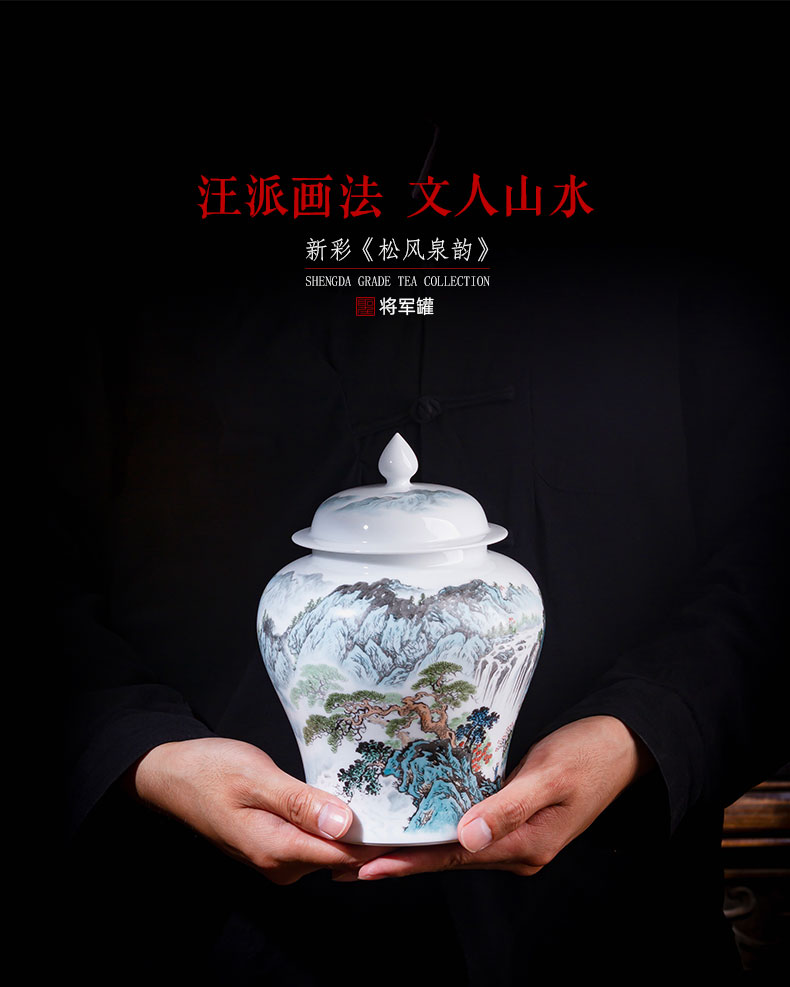 Holy big ceramic tea pot general hand - made new see wind stream store POTS of jingdezhen tea service parts by hand