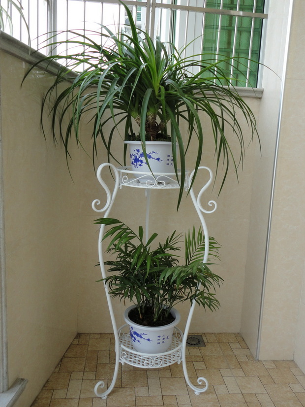 ��¡����ŷʽ���ջ���CL048