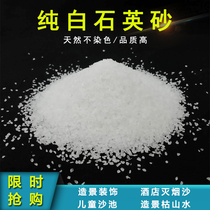 100 Jin Pure White Quartz Sand Hotel Smoke Extinguishing Fish Tank Purifying Sand Landscape Sand White Sand Water Treatment Sand