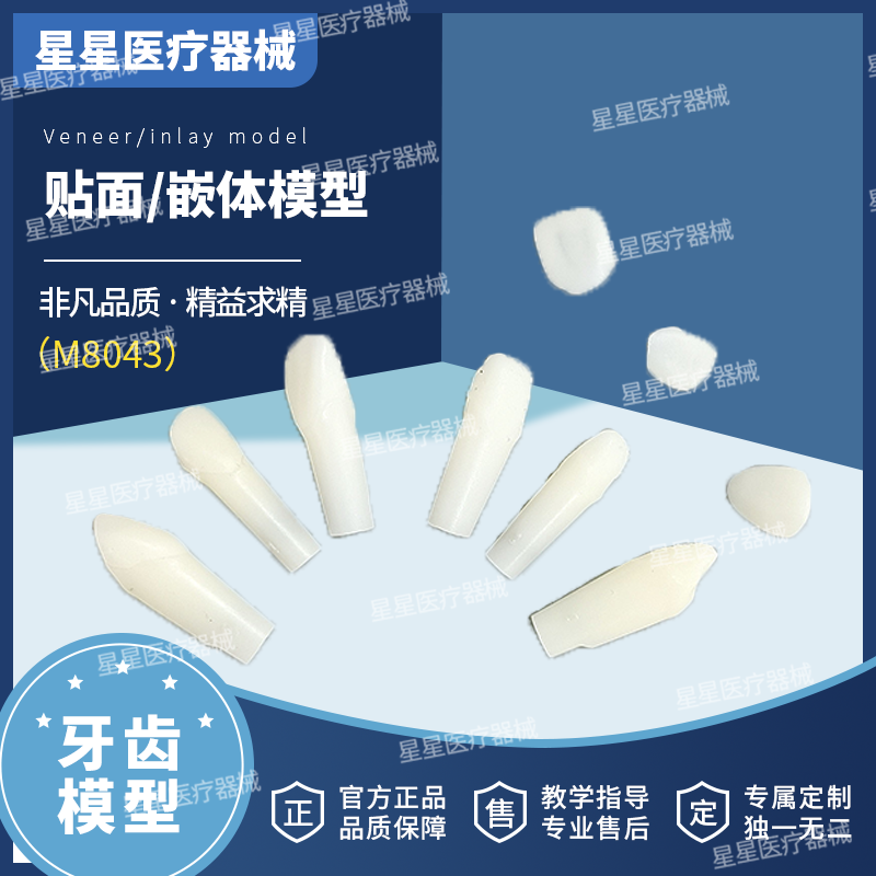牙科牙齿贴面嵌体牙粒练习模型牙齿模型口腔教学备牙修复练习模型