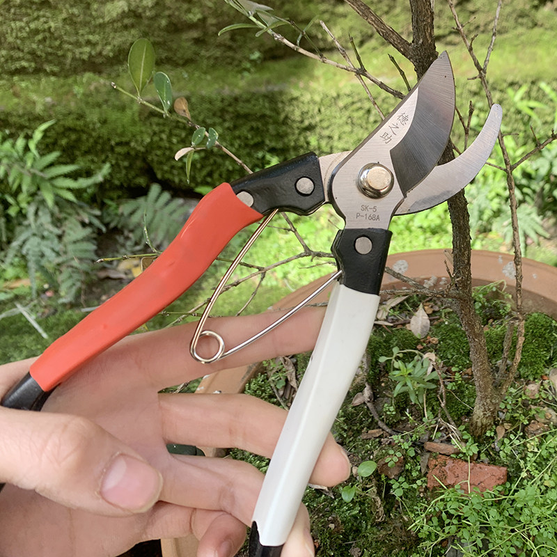 Garden scissors tool pruning scissors gardening scissors fruit tree scissors pruning scissors greening Taiwan Dezhizhu fruit picking scissors